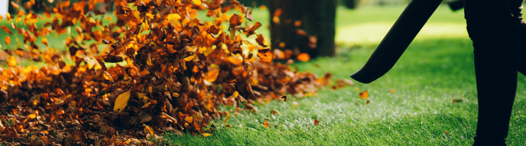 Ramassage des feuilles